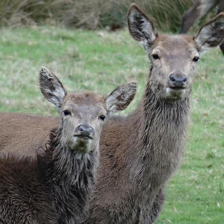 Exmoor Bnb In Withypool On Two Moors Way Екстериор снимка