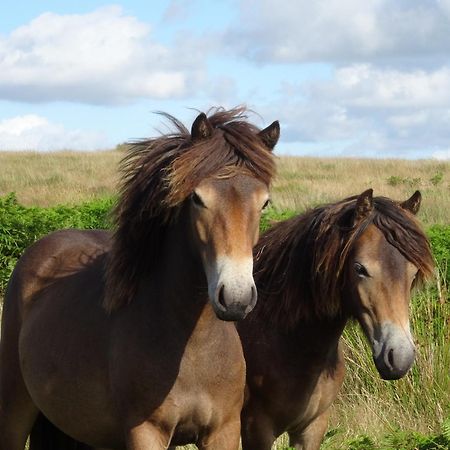 Exmoor Bnb In Withypool On Two Moors Way Екстериор снимка