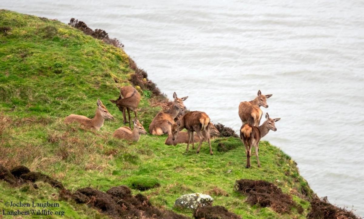 Exmoor Bnb In Withypool On Two Moors Way Екстериор снимка