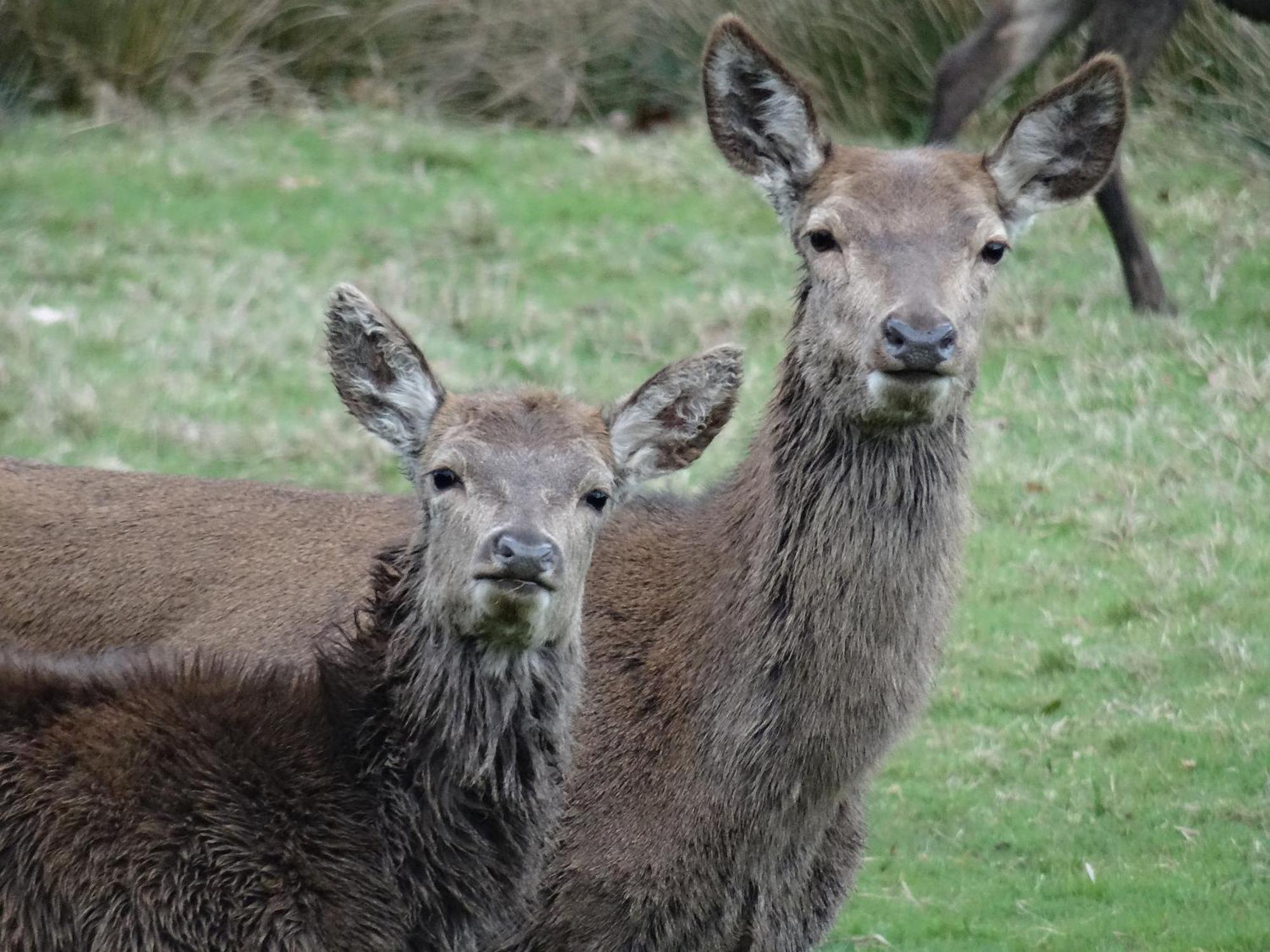 Exmoor Bnb In Withypool On Two Moors Way Екстериор снимка