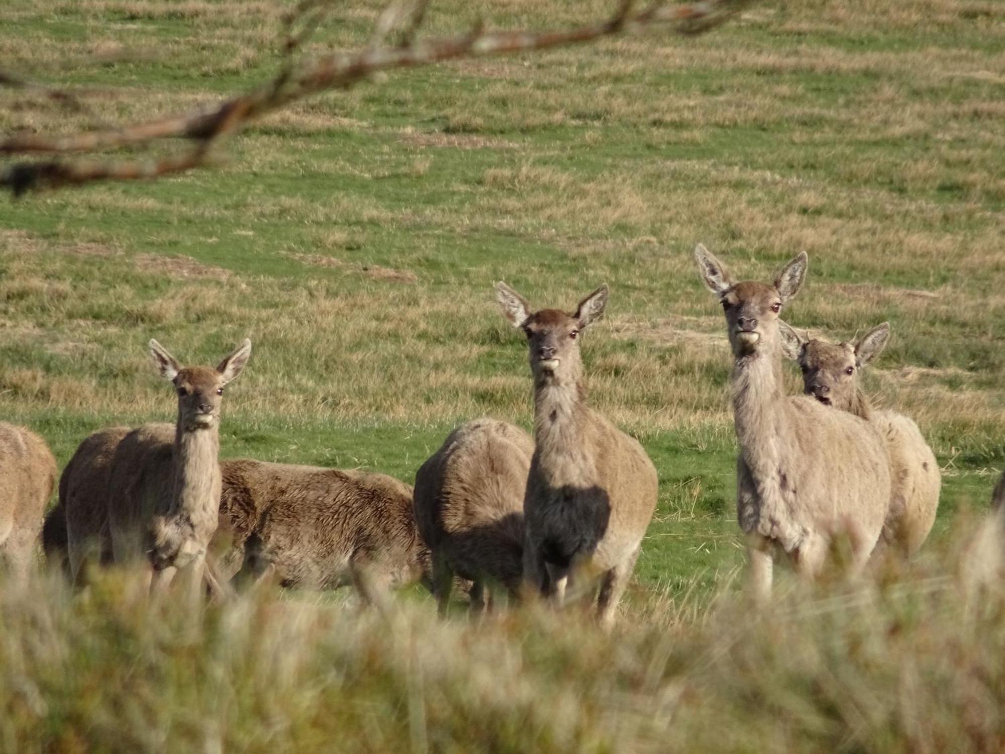 Exmoor Bnb In Withypool On Two Moors Way Екстериор снимка