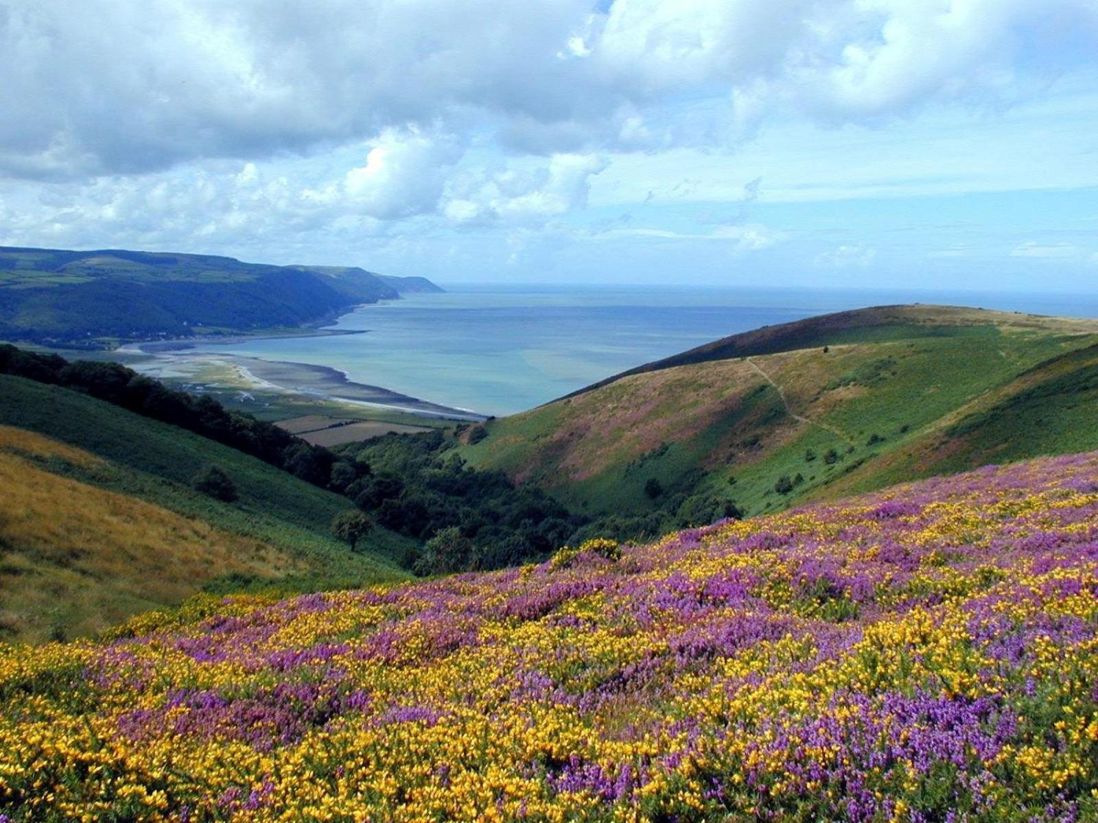Exmoor Bnb In Withypool On Two Moors Way Екстериор снимка