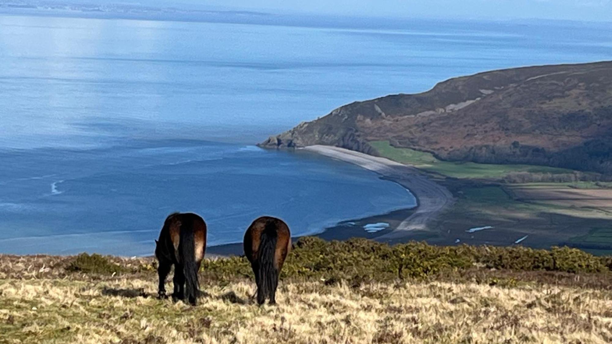 Exmoor Bnb In Withypool On Two Moors Way Екстериор снимка