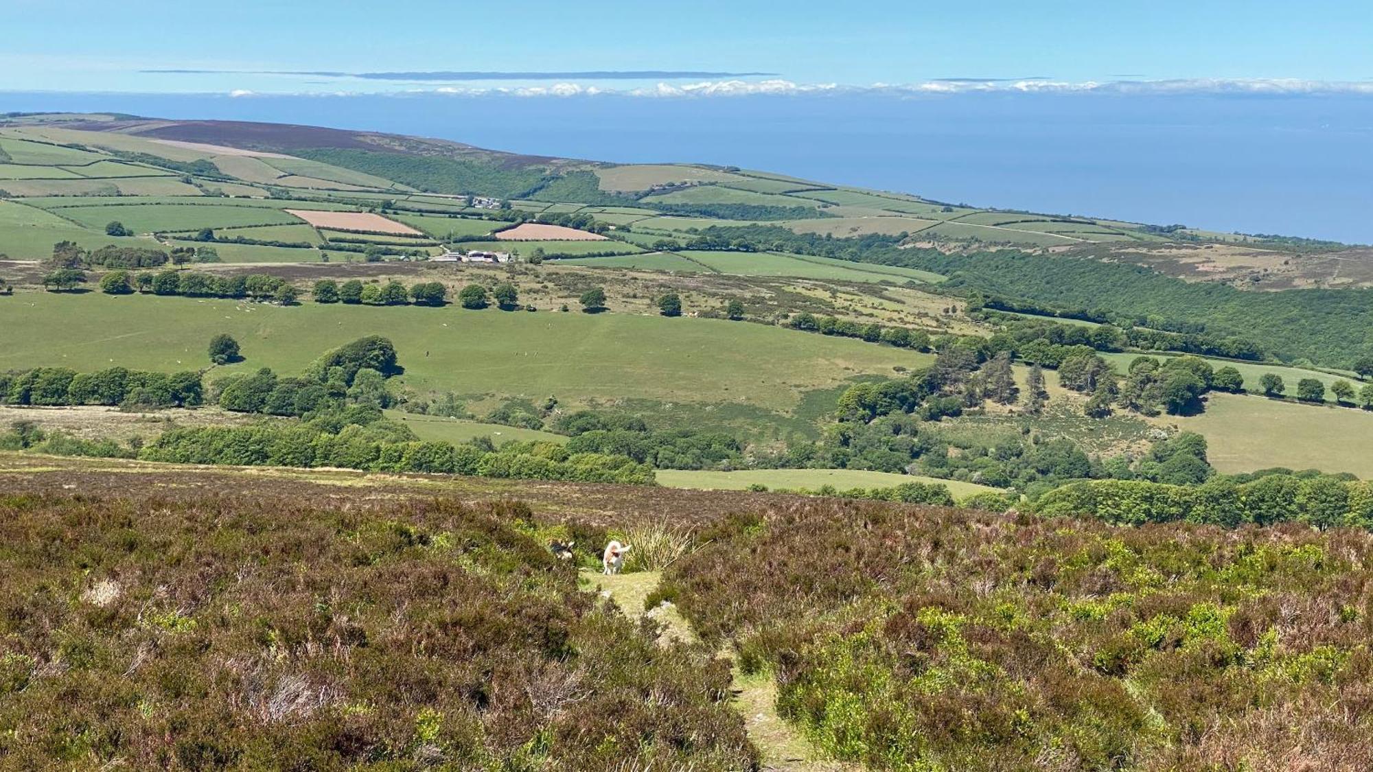 Exmoor Bnb In Withypool On Two Moors Way Екстериор снимка